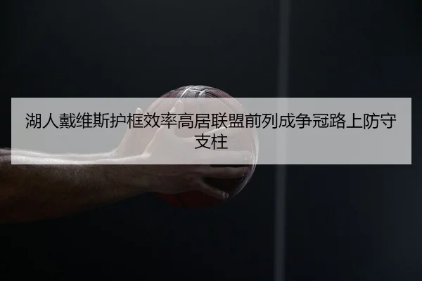 湖人戴维斯护框效率高居联盟前列成争冠路上防守支柱